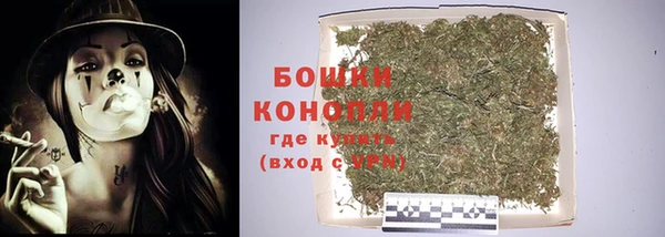 сатива Белокуриха
