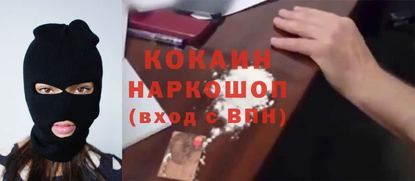 сатива Белокуриха