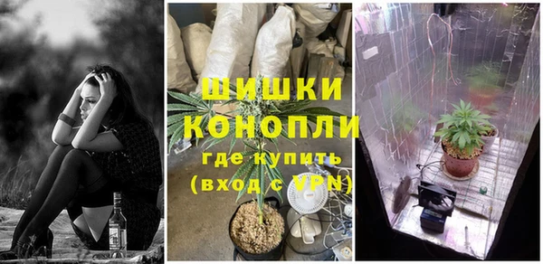 сатива Белокуриха