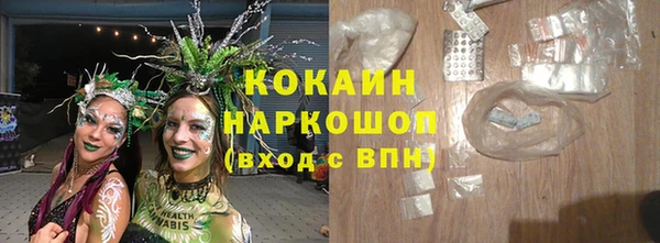 сатива Белокуриха