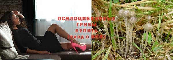 сатива Белокуриха