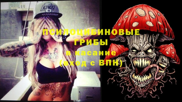 тгк Беломорск