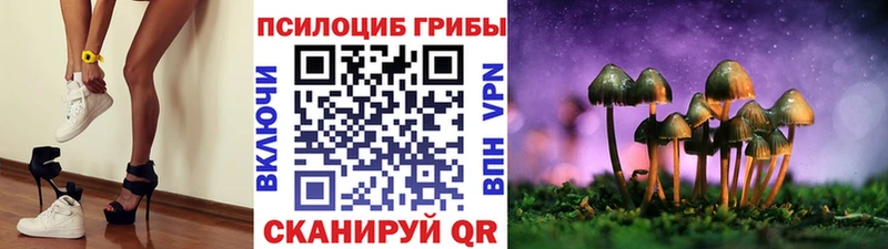 Купить  Остров  Галлюциногенные грибы Psilocybe 